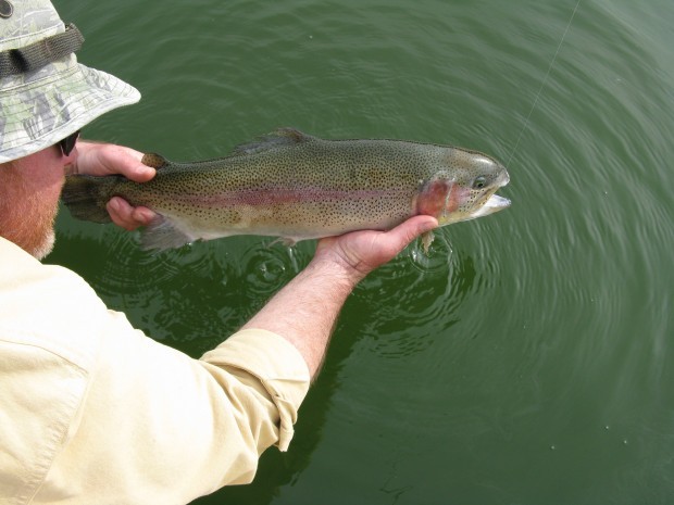 Dierkes Lake lunker - Andy White